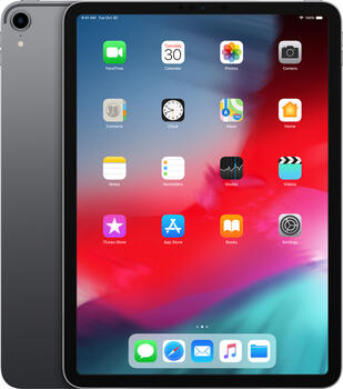 Apple iPad Pro 11 Zoll 256GB grau [2018] Tablet 