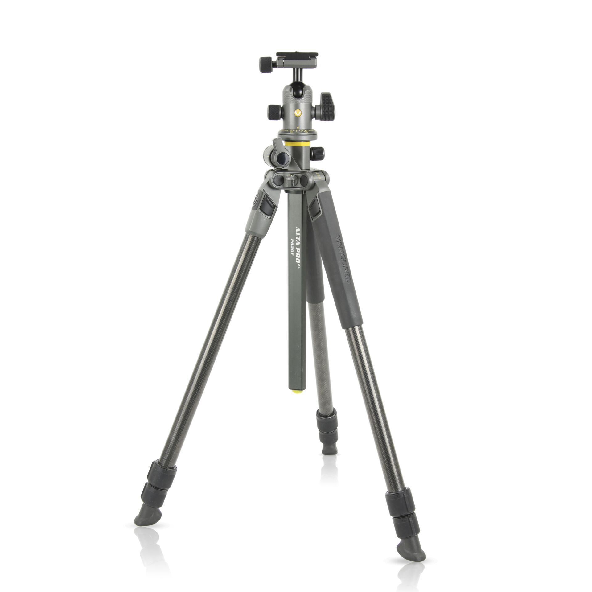 Vanguard Alta Pro 2+ 263CB 100