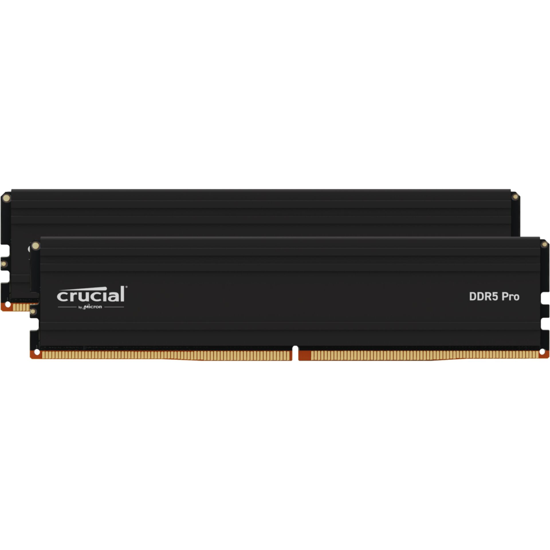 Crucial Pro Speichermodul 48 GB 2 x 24 GB DDR5 6000 MHz