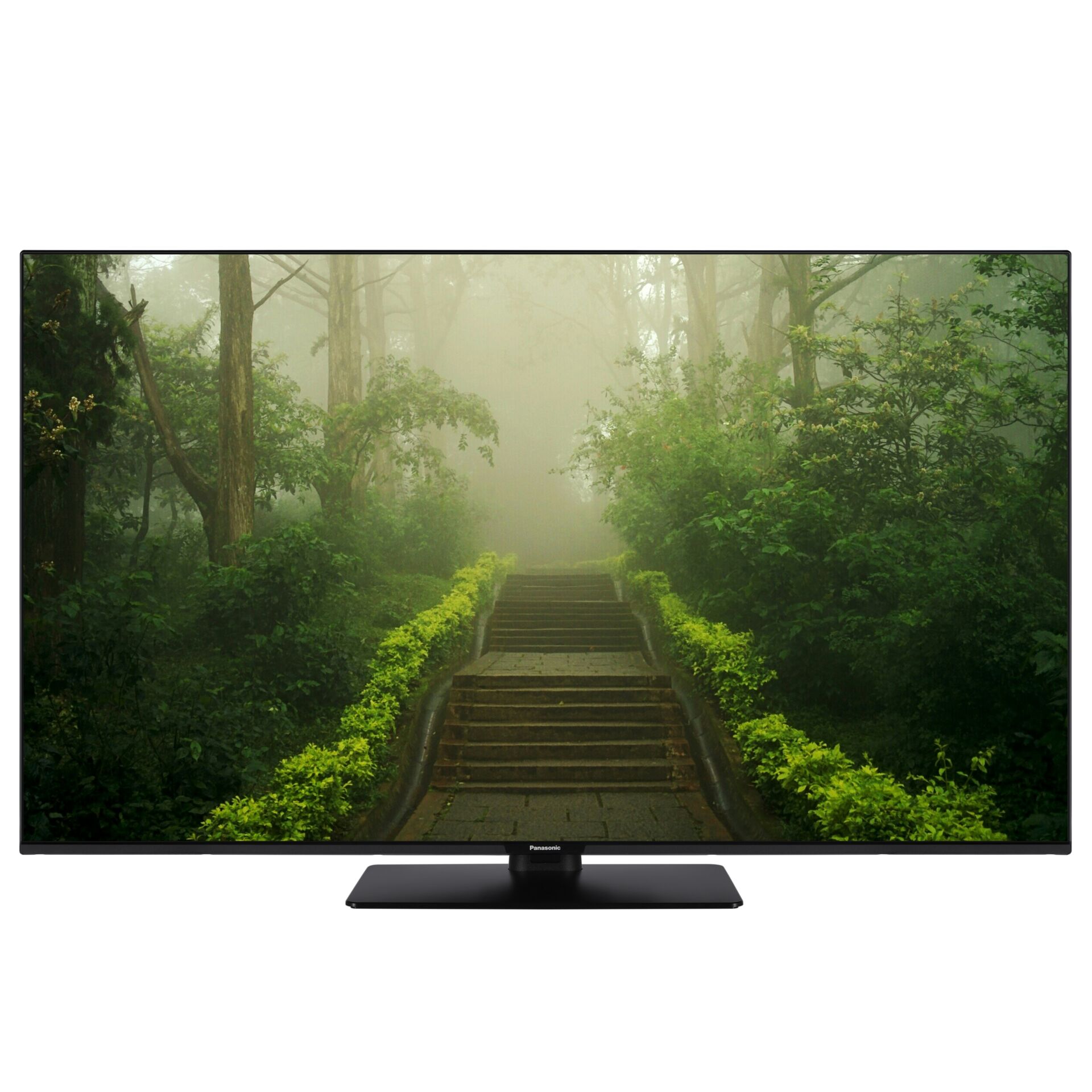 Panasonic TB-55W60AEZ schwarz