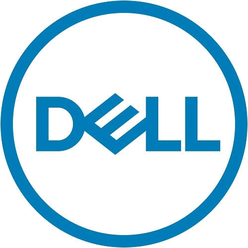 DELL 345-BFSM Internes Solid State Drive 3,84 TB 2.5 SAS