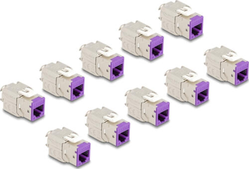 DeLOCK Keystone Modul RJ45 Buchse zu LSA Cat.6A werkzeugfrei violett Set 10 Stück