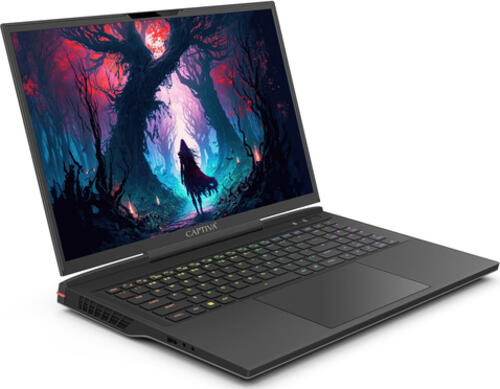 CAPTIVA Highend Gaming I81-506 Intel Core i9 Laptop 43,9 cm (17.3) WQXGA 32 GB DDR5-SDRAM 2 TB SSD NVIDIA GeForce RTX 4080 Wi-Fi 6 (802.11ax) Windows 11 Home Schwarz