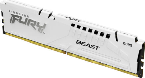 Kingston Technology FURY Beast 32 GB 6400 MT/s DDR5 CL32 DIMM White EXPO