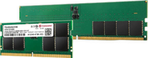 Transcend JetRam JM5600ALE-48G Speichermodul 48 GB DDR5 5600 MHz