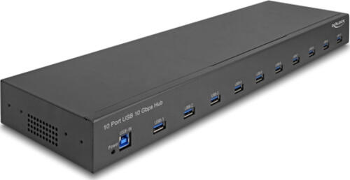 DeLOCK 19 Industrie Hub 10 x USB 10 Gbps Typ-A