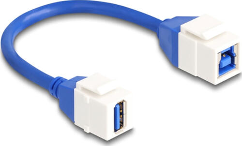 DeLOCK Keystone Modul Kabel USB 5 Gbps Typ-A Buchse zu USB Typ-B Buchse 20 cm blau