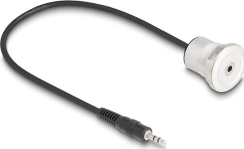 DeLOCK 88188 Audio-Kabel 0,3 m 3.5mm Schwarz, Silber