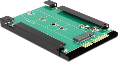 DeLOCK 62552 Schnittstellenkarte/Adapter