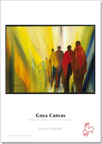 Hahnemühle Goya Canvas 61 cm x 12 m Druckerpapier Satin