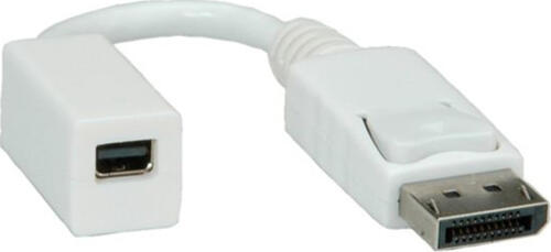 ROLINE DisplayPort Adapter, DP Stecker - Mini DP Buchse