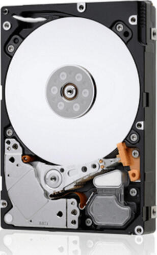 Infortrend H1090XB1XXC-0030 Interne Festplatte 900 GB 10000 RPM 2.5 SAS