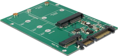 DeLOCK 62670 Schnittstellenkarte/Adapter Eingebaut M.2, mSATA