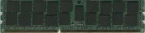 Dataram 16GB DDR3 Speichermodul 1 x 16 GB 1600 MHz ECC