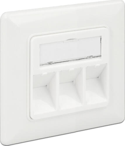 DeLOCK 86194 Steckdose RJ-45 Silber, Weiß