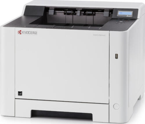 KYOCERA ECOSYS P5021cdn Farbe 9600 x 600 DPI A4