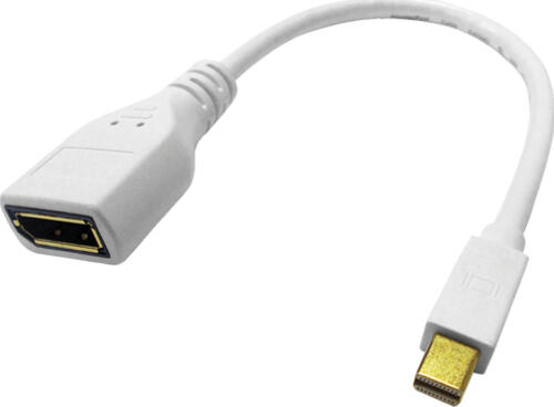 ROLINE 12.03.3163 DisplayPort-Kabel Mini DisplayPort Weiß