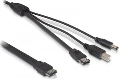 DeLOCK eSATA 12V > eSATA/USB-B/DC - 1m SATA-Kabel Schwarz