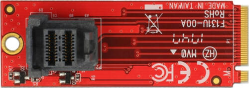 DeLOCK 63339 Schnittstellenkarte/Adapter Eingebaut M.2, SAS