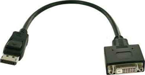 Fujitsu S26361-F2391-L200 Videokabel-Adapter DisplayPort DVI-D