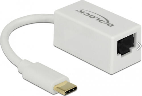 DeLOCK 65906 laptop-dockingstation & portreplikator USB Typ-C Weiß