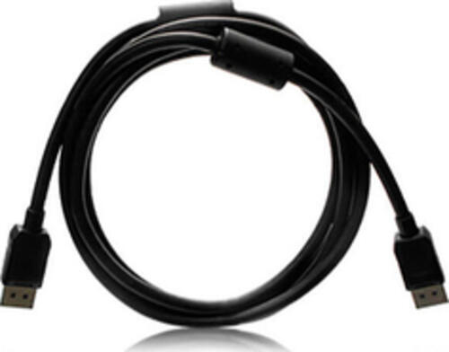 EIZO PP200-K 2 m DisplayPort Schwarz