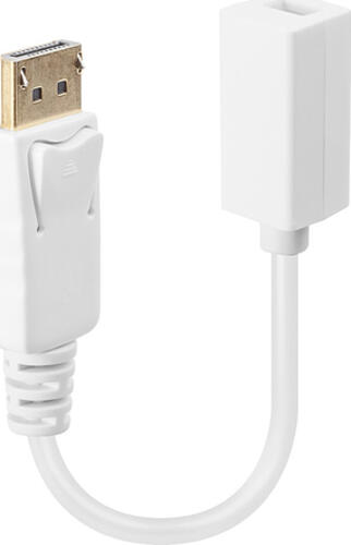 Lindy 41060 Videokabel-Adapter 0,15 m DisplayPort Mini DisplayPort Weiß