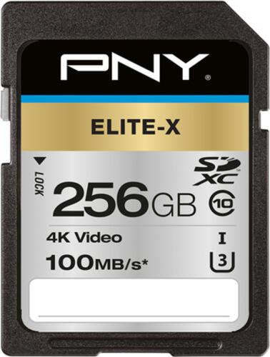 PNY Elite-X 256 GB SDXC UHS-I Klasse 10
