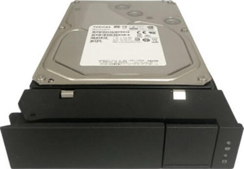 Promise Technology F40P2R800000015 Interne Festplatte 3.5 12 TB Serial ATA III
