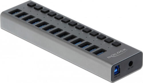 DeLOCK Externer USB 5 Gbps Hub mit 13 Ports + Schalter