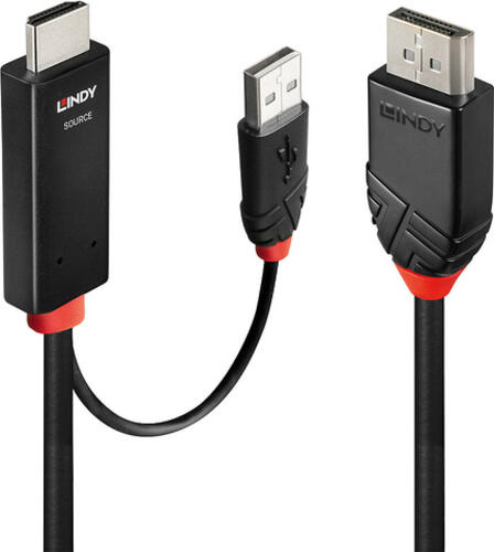 Lindy 41498 Videokabel-Adapter 1 m HDMI + USB Type-A DisplayPort Schwarz