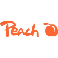 Peach PPR510 Koffergurt 152 mm Schwarz